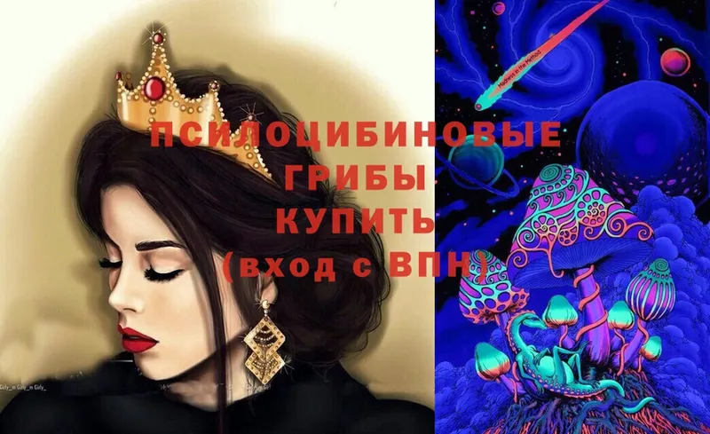 Галлюциногенные грибы Magic Shrooms  Котельнич 